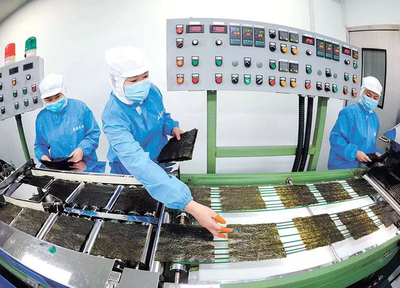 1至4月同比增九成！數字化轉型賦能連云港外貿進出口“新”意滿滿