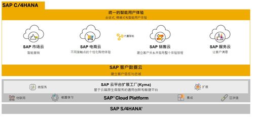 SAP商務(wù)云產(chǎn)品自學(xué)指南 電商云、銷(xiāo)售云與營(yíng)銷(xiāo)云業(yè)務(wù)知識(shí)入門(mén)